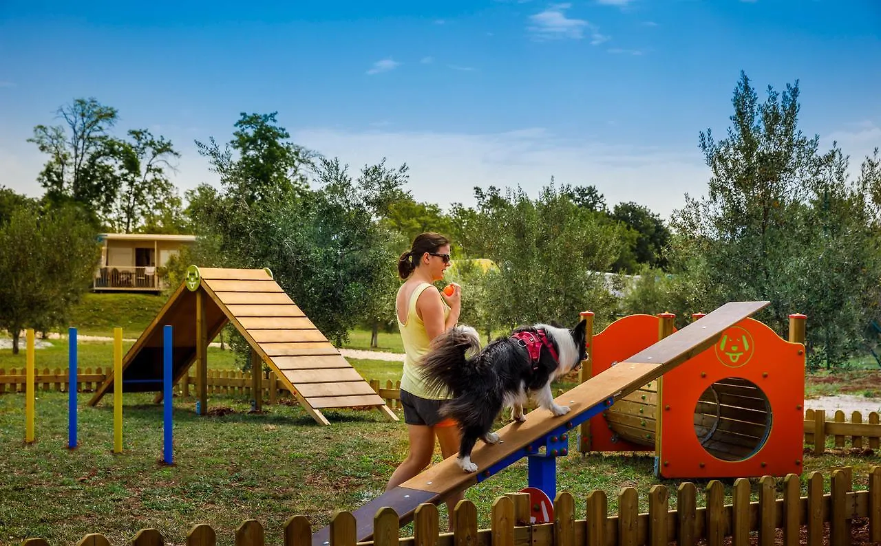 Aminess Maravea Camping Resort Holiday Homes Novigrad Istria